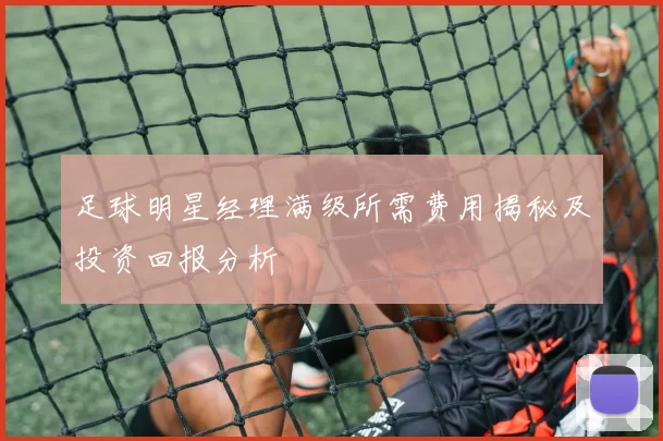 足球明星经理满级所需费用揭秘及投资回报分析