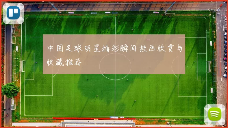 中国足球明星精彩瞬间挂画欣赏与收藏推荐
