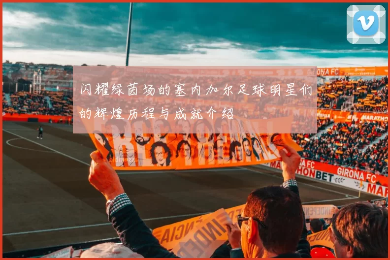 闪耀绿茵场的塞内加尔足球明星们的辉煌历程与成就介绍