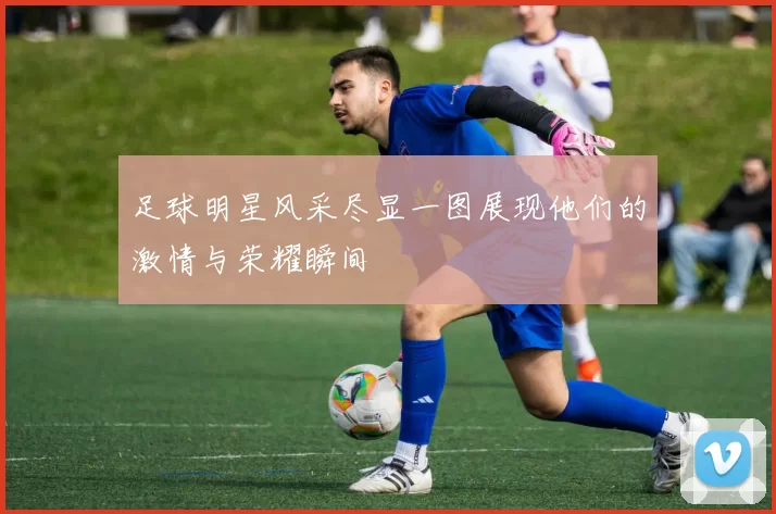 足球明星风采尽显一图展现他们的激情与荣耀瞬间