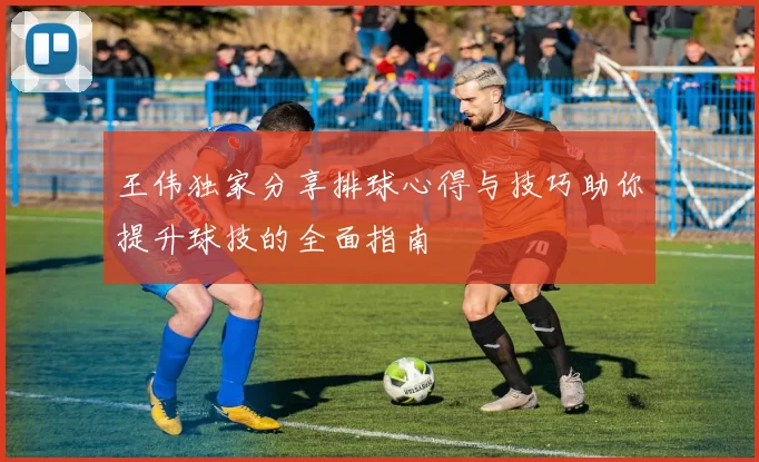 王伟独家分享排球心得与技巧助你提升球技的全面指南