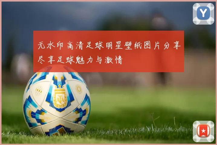 无水印高清足球明星壁纸图片分享尽享足球魅力与激情