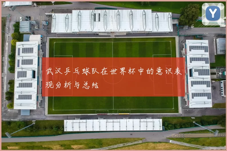 武汉乒乓球队在世界杯中的意识表现分析与总结